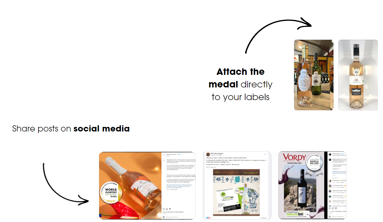 Capture d’écran 2024 10 04 125416 Capture d’écran 2024 10 04 125416